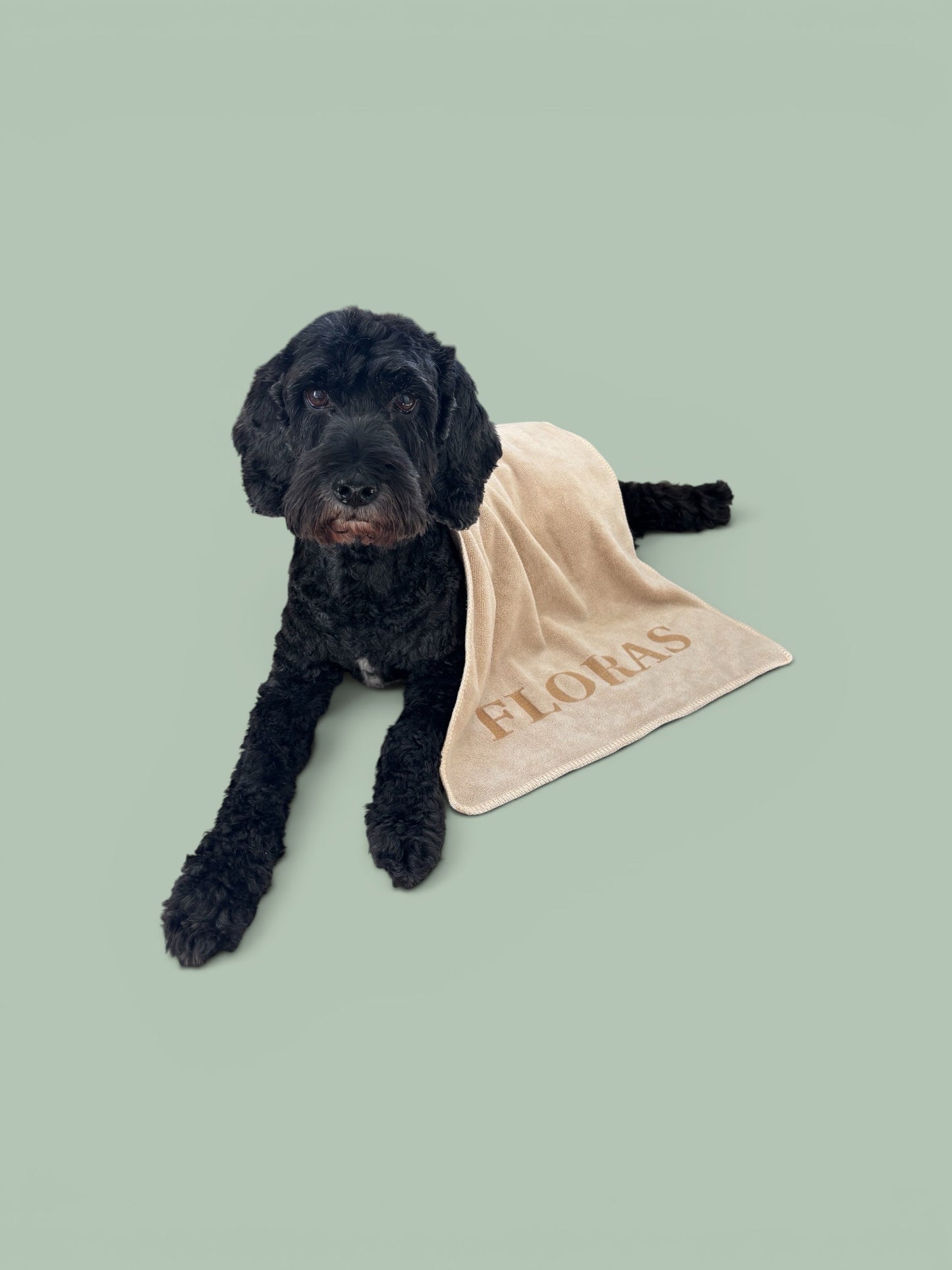 Microfibre Towel